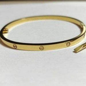 Gold Filled Stainless Steel Bangle 4mm size 17